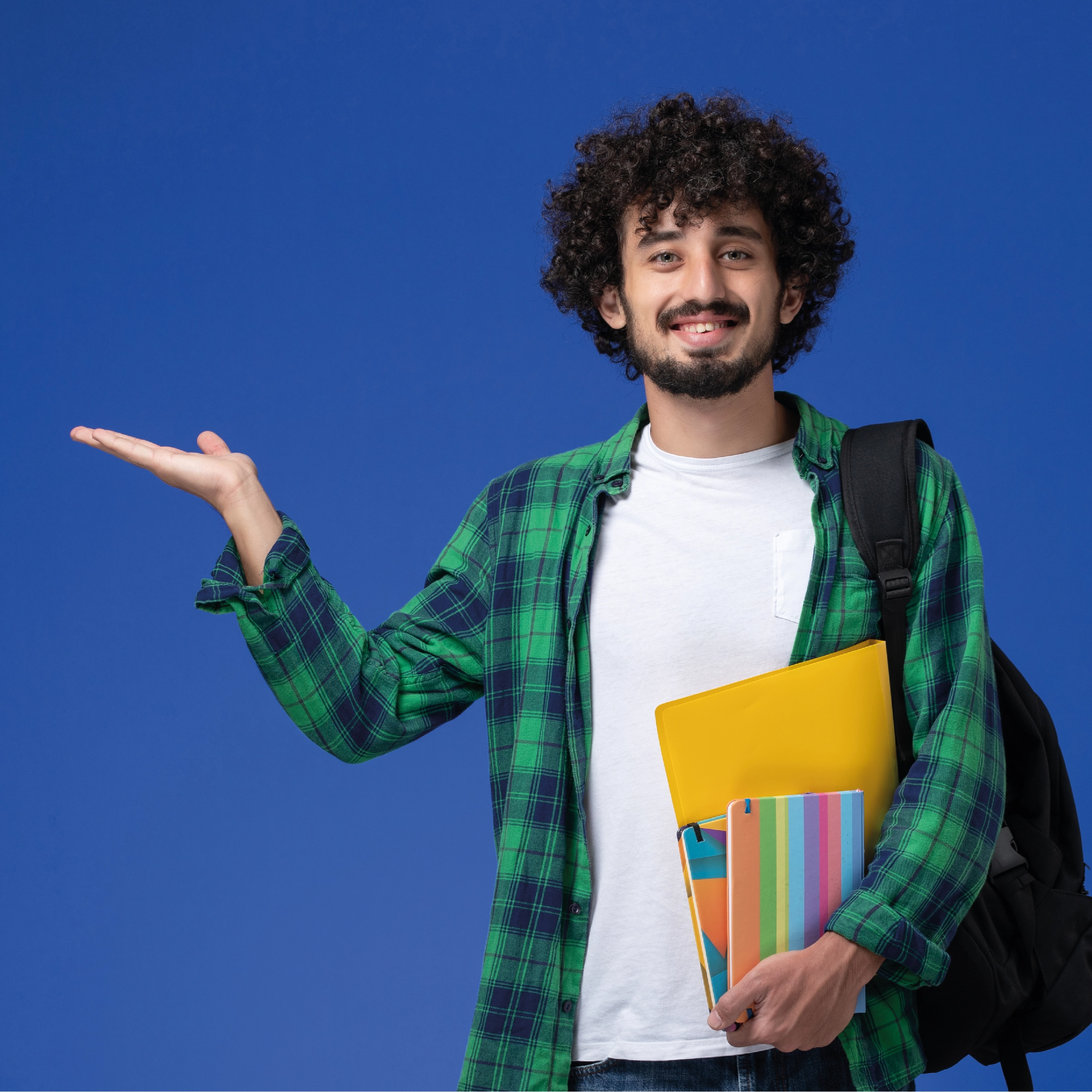 wisdom college for creativity and design